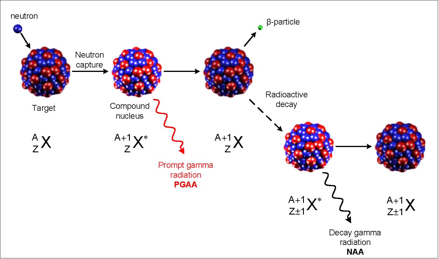 illustration of neutron capture leading to prompt and delayed emission of gamma rays